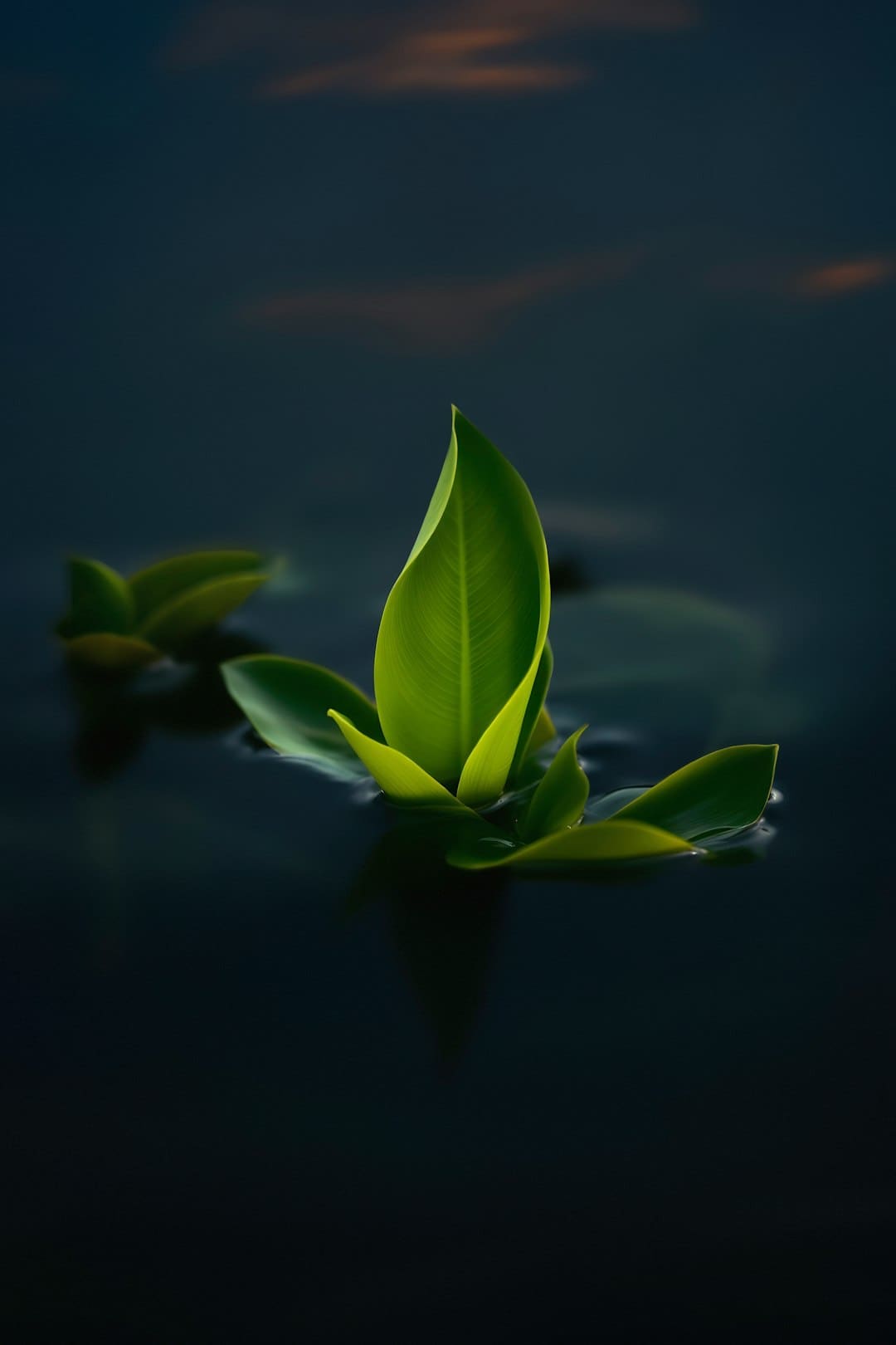 不刷牙睡觉vs不刷牙吃早餐哪个危害更大？